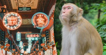 Китайський гороскоп на завтра, 24 березня: Мавпам — суперечки, Козлам — уроки долі