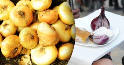 Мало хто знає — яка головна різниця між білою і червоною цибулею