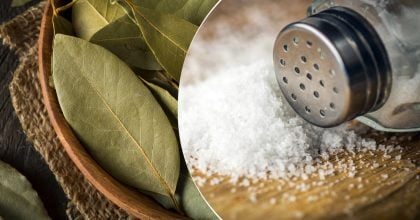 Для чого вставляти лавровий лист у лимон: неочікуваний, але робочий лайфхак