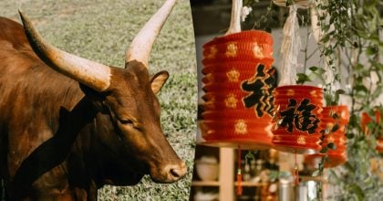 Китайський гороскоп на завтра, 26 березня: Бикам — стрес, Кроликам — розставання