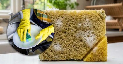 Навіщо господині відрізають куточок губки для посуду: про цей трюк знають одиниці