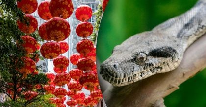 Китайський гороскоп на завтра, 27 березня: Зміям — втрати, Тиграм — претензії