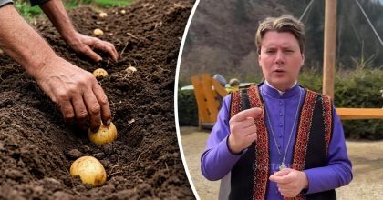 Чи можна садити город до Благовіщення: священник розставив крапки над "і"