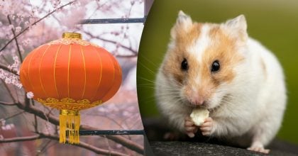 Китайский гороскоп на сегодня, 28 марта: Крысам - волнения, Драконам - форс-мажоры