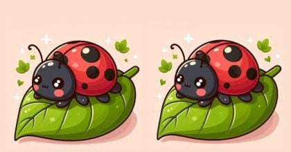 Тест на IQ: потрібно знайти 3 відмінності на зображенні сонечка за 29 с