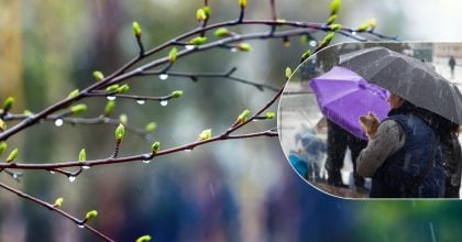 Дощ і різке похолодання насувається на Житомирщину: коли очікувати зміну погоди