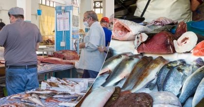 Її їли мільйони, а тепер не знайти: яка риба зникла після розпаду СРСР