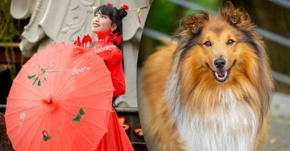 Китайский гороскоп на завтра, 29 марта: Обезьянам - предательство, Собакам - выгода