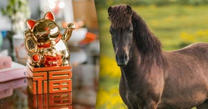 Китайский гороскоп на завтра, 30 марта: Лошадям - ссоры, Тиграм - перемены