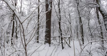 Влупить -2 та піде сніг: в Україні погіршиться погода