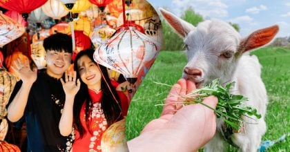 Китайский гороскоп на завтра, 1 апреля: Обезьянам - свидания, Козлам - удовольствия