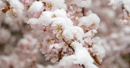 Дощі з мокрим снігом накриють Львівщину: коли погода різко погіршиться