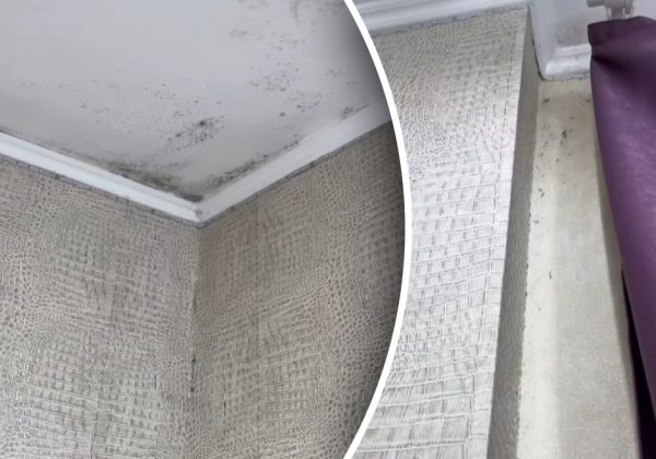 Потрібно всього 5 хвилин вранці: простий спосіб позбутися вогкості та цвілі