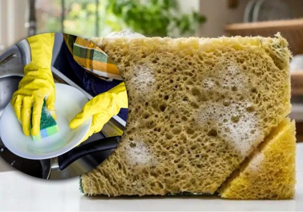Зачем хозяйки отрезают уголок губки для посуды: об этом трюке знают единицы