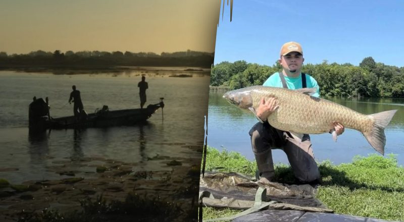 На гачку опинився справжній гігант: рибалка витратив 2 роки на рекорд