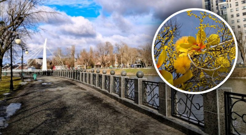 Без опадів і тепло: яка погода буде в Харкові на вихідних