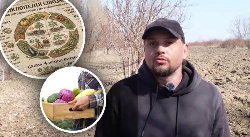 Сівозміна культур на городі: як відновити структуру ґрунту за один цикл