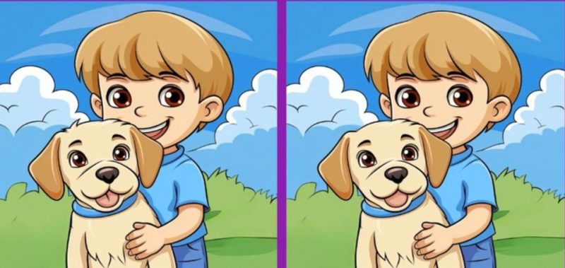 Тест на IQ: потрібно знайти 3 відмінності на зображенні хлопчика з собакою за 49 с