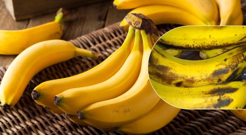 Как остановить созревание бананов за пару секунд: простой лайфхак с плодоножкой
