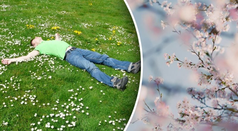 День весняного рівнодення 20 березня: що обов’язково потрібно зробити цього дня