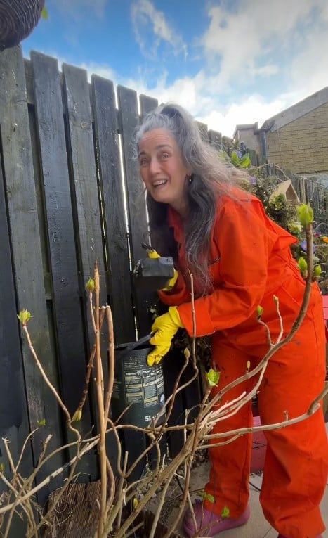 женщина придумала, чем заменить кисть при покраске забора