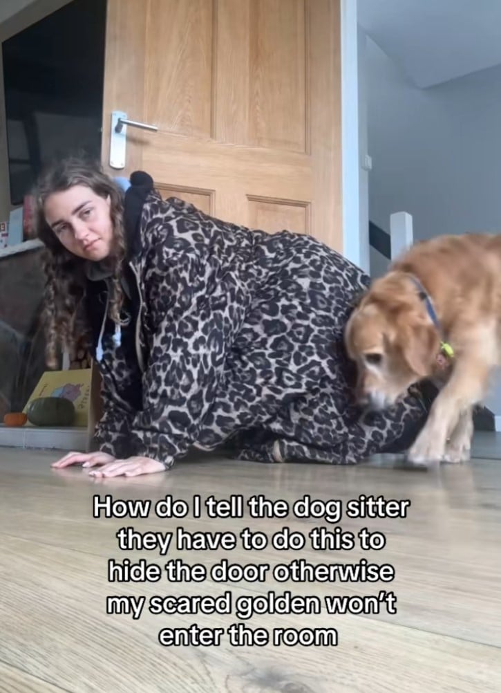 Собака, врятована з притулку, боїться дверей