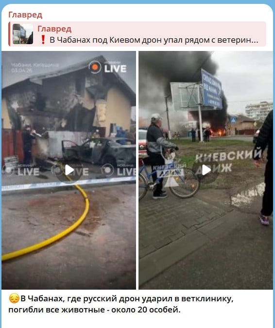 РФ знищила ветклініку в Чабанах - всі тварини загинули