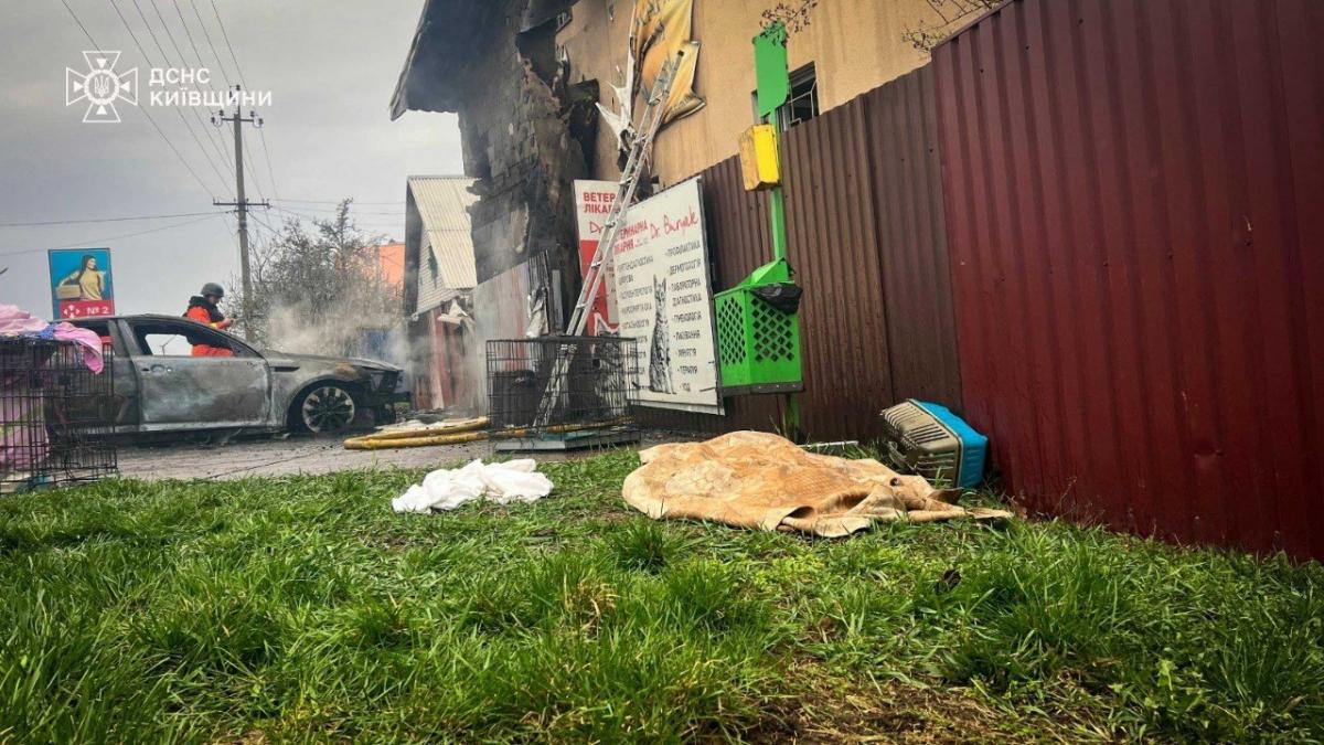 Наслідки удару по ветклініці в Чабанах 3 квітня