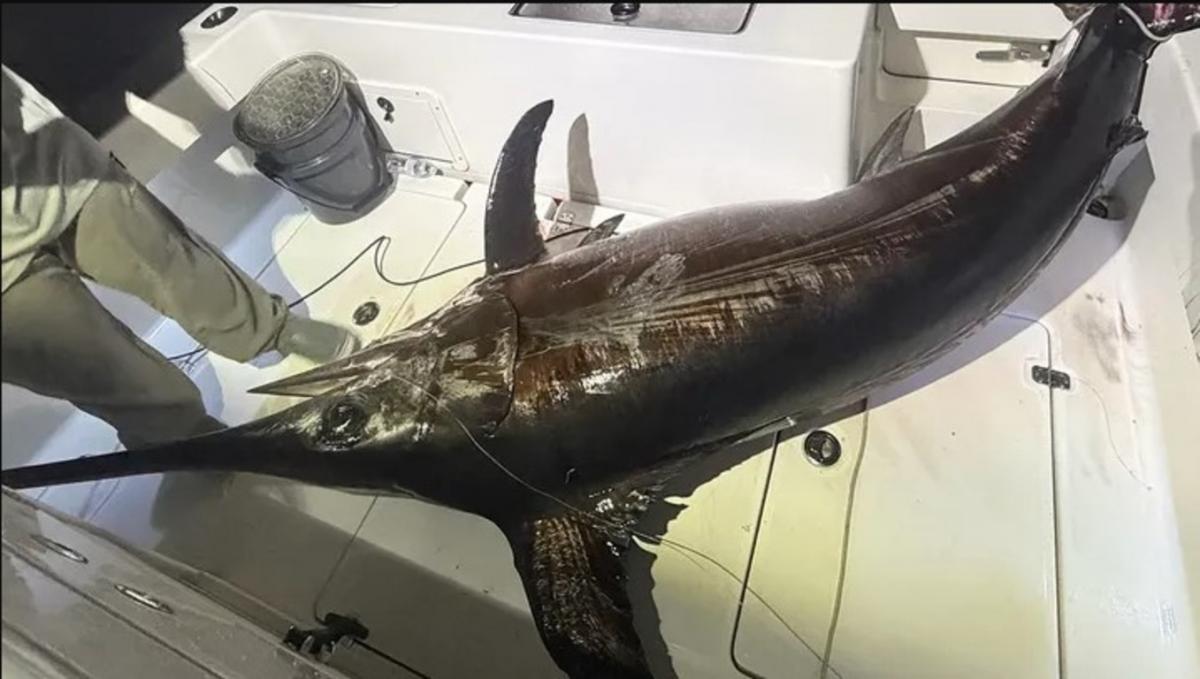 Боротьба з рибою тривала близько п’яти годин