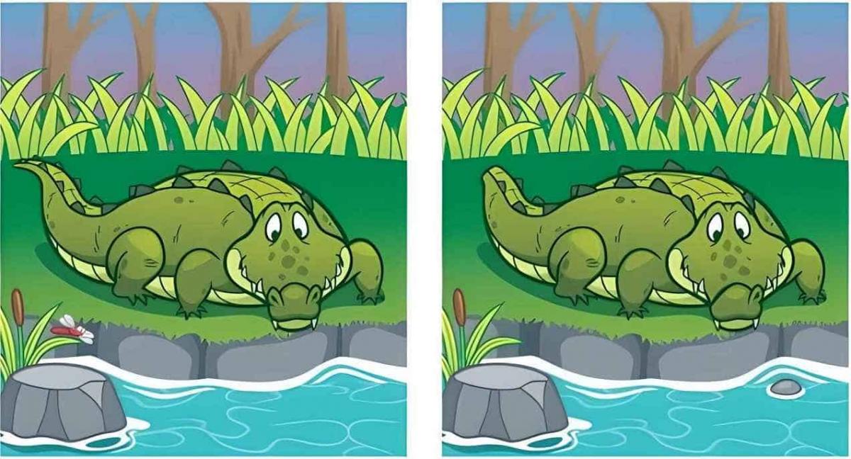 головоломка