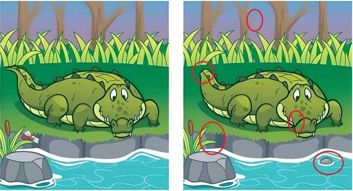 головоломка