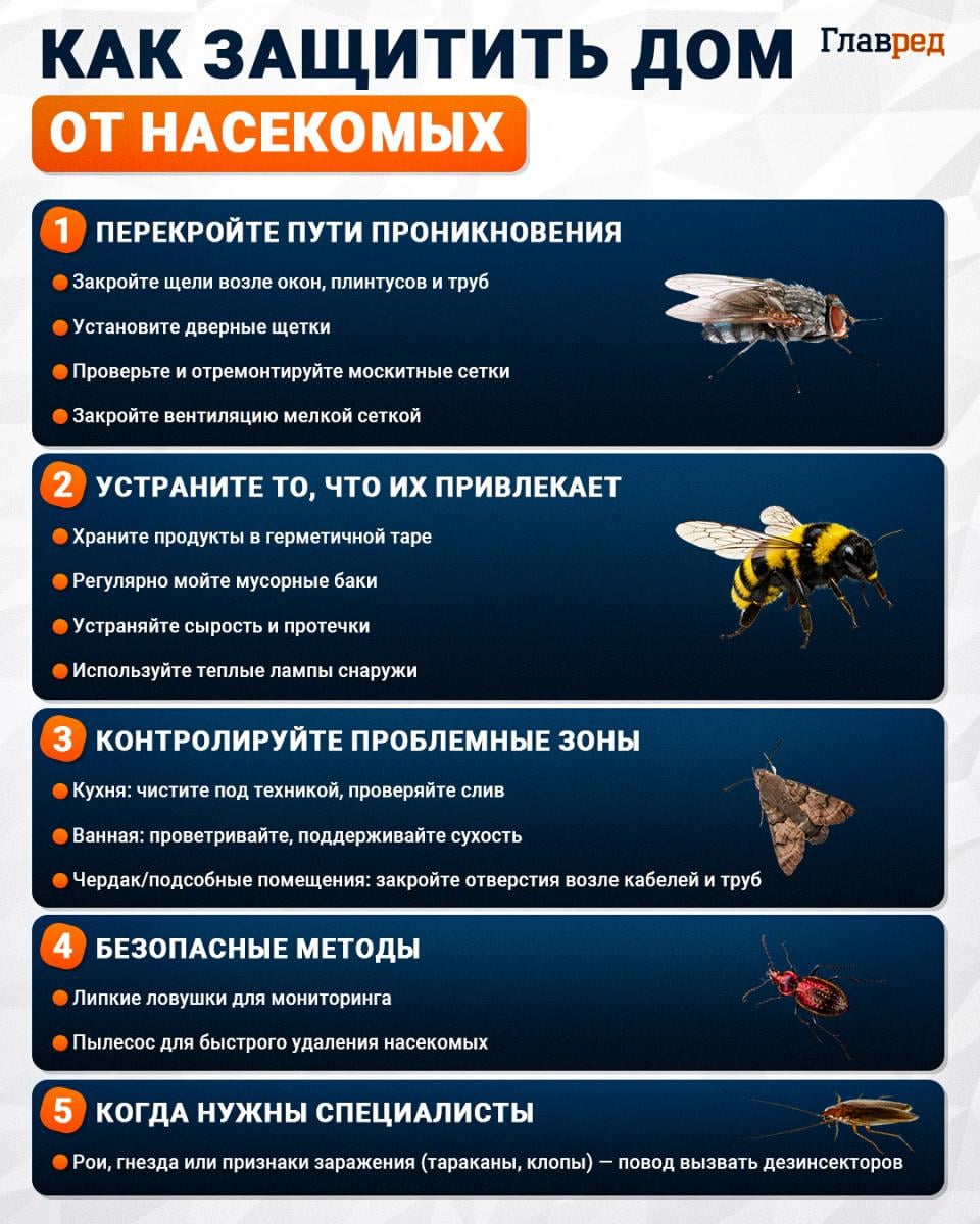 Как защитить дом от насекомых