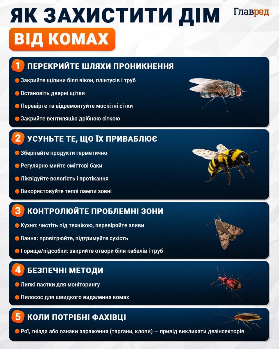 Як захистити дім від комах Як захистити дім від комах