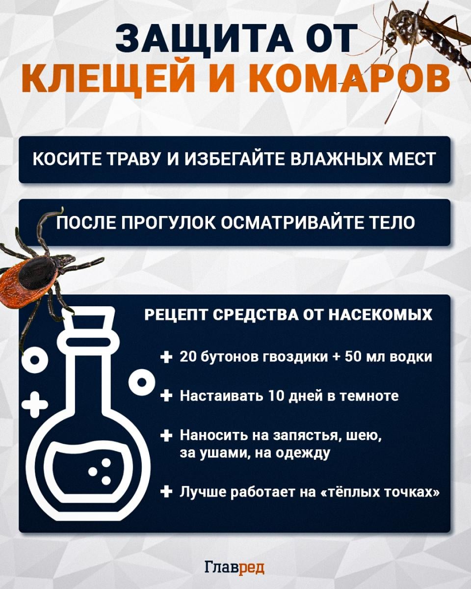 Защита от клещей и комаров Защита от клещей и комаров