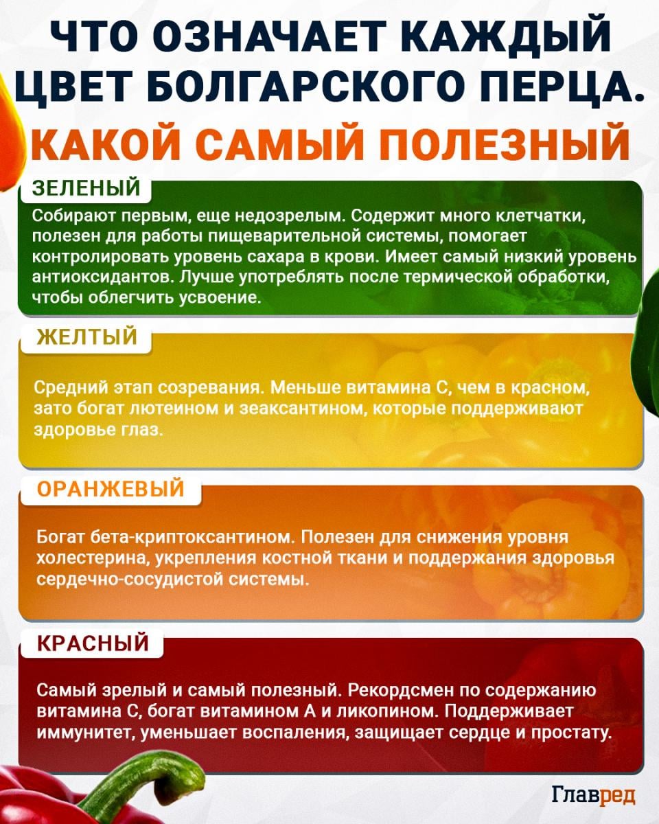 Что означает каждый цвет болгарского перца, какой самый полезный