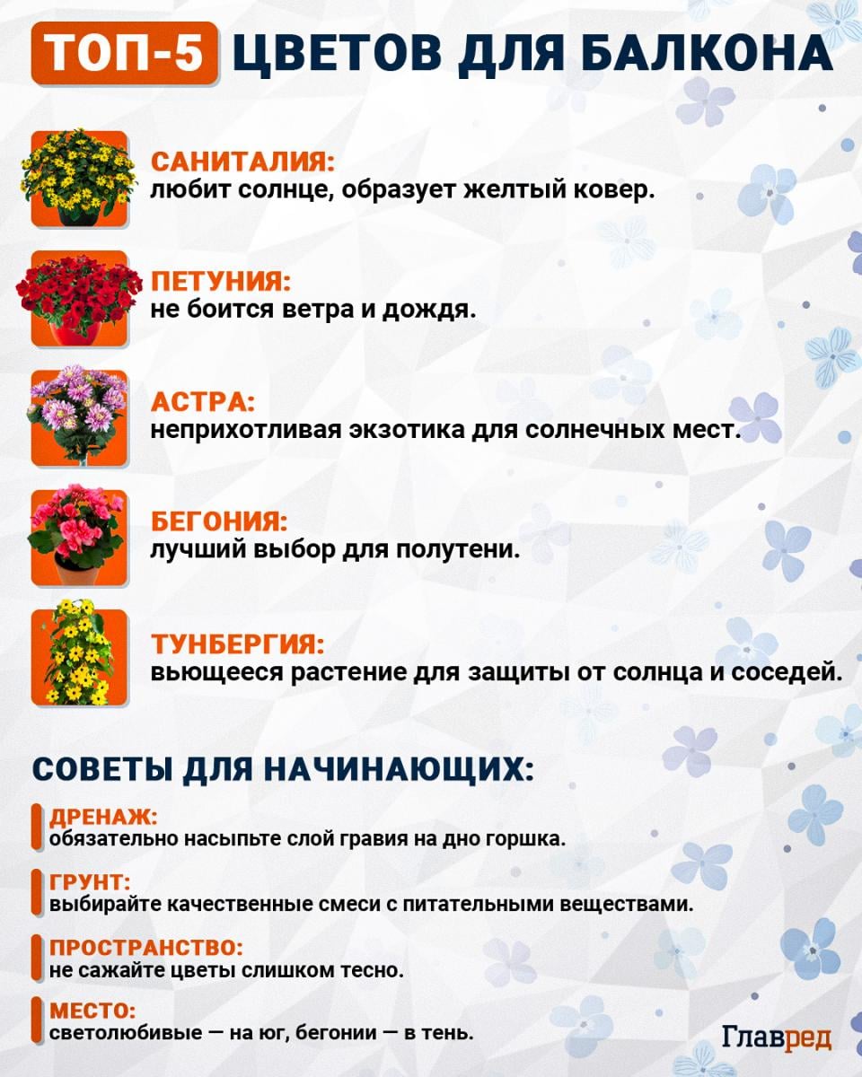 Топ-5 цветов для балкона Топ-5 цветов для балкона