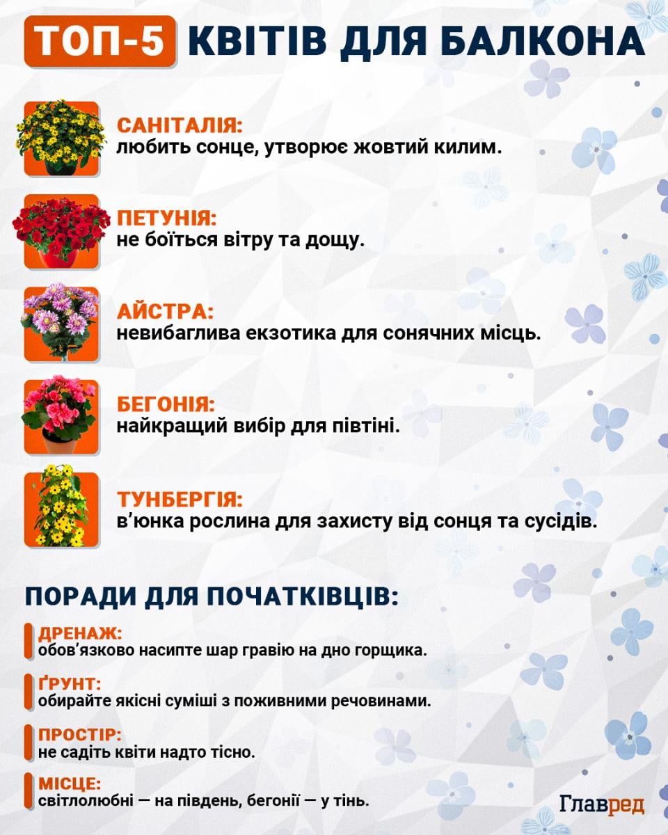 Топ-5 квітів для балкона