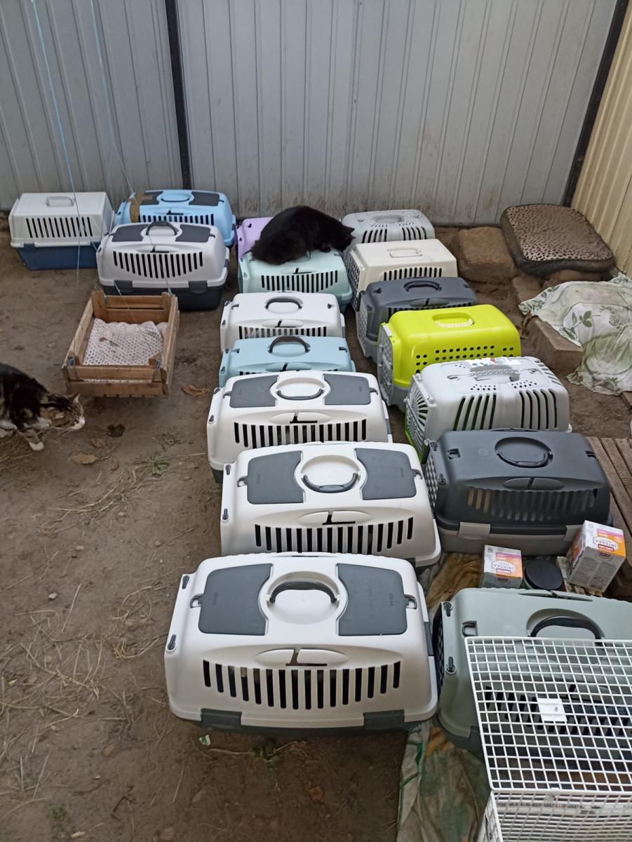 Дар’я Корх двічі евакуювалася з Покровська Дар’я Корх двічі евакуювалася з Покровська