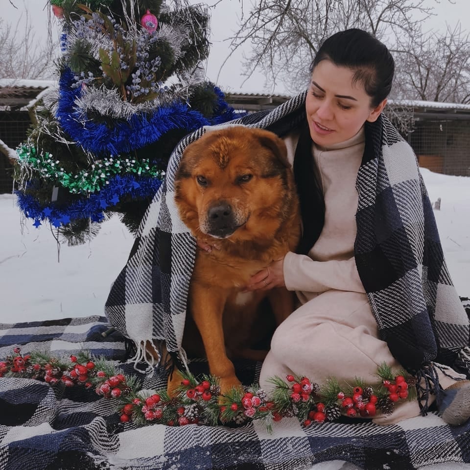 За словами Дар’ї Корх, життя не закінчується з евакуацією, а переходить на інший рівень За словами Дар’ї Корх, життя не закінчується з евакуацією, а переходить на інший рівень