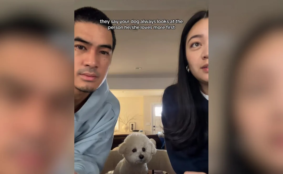 Пара провела п'ять раундів, суворо дотримуючись правил Пара провела п'ять раундів, суворо дотримуючись правил