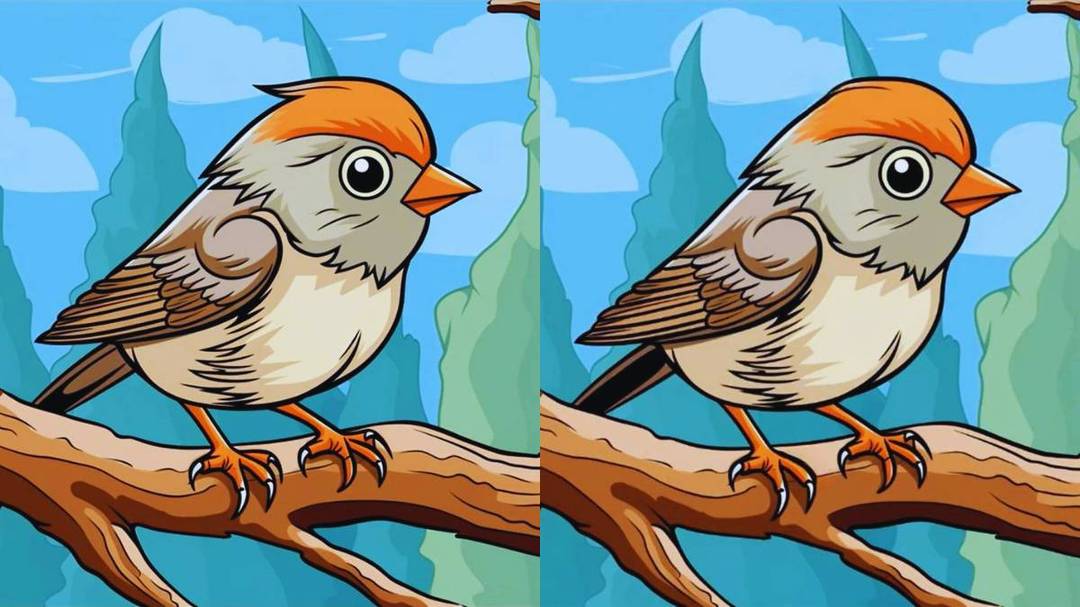 головоломка