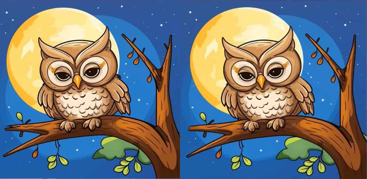 головоломка головоломка