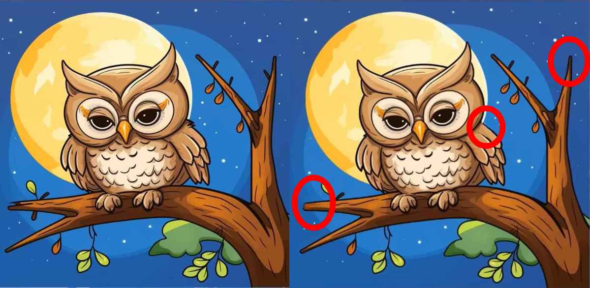 головоломка головоломка