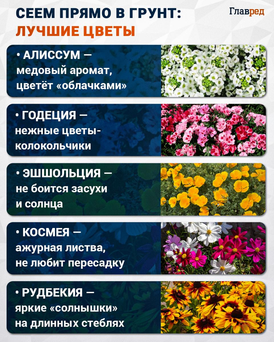 Самые лучшие цветы 