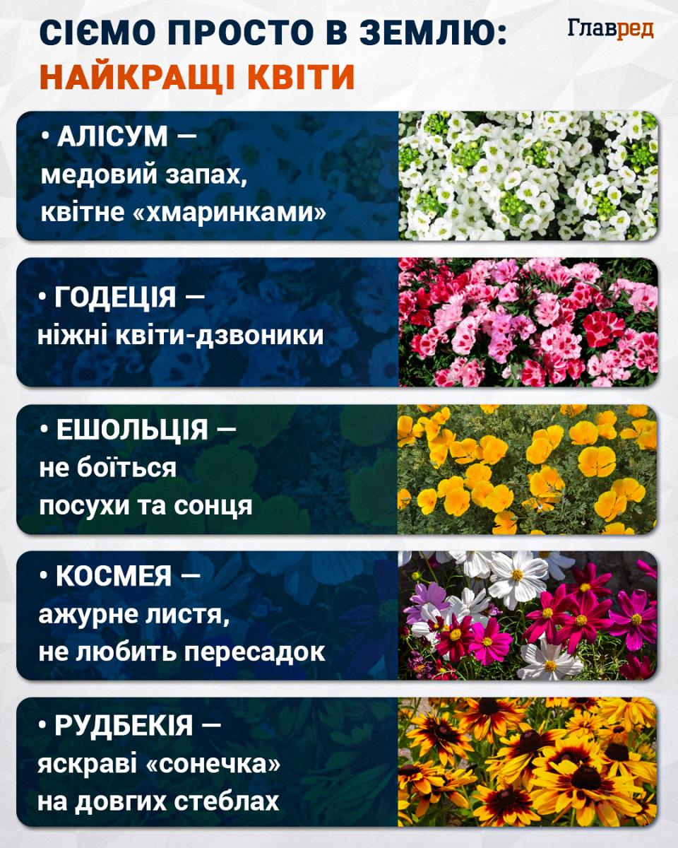 Найкращі квіти