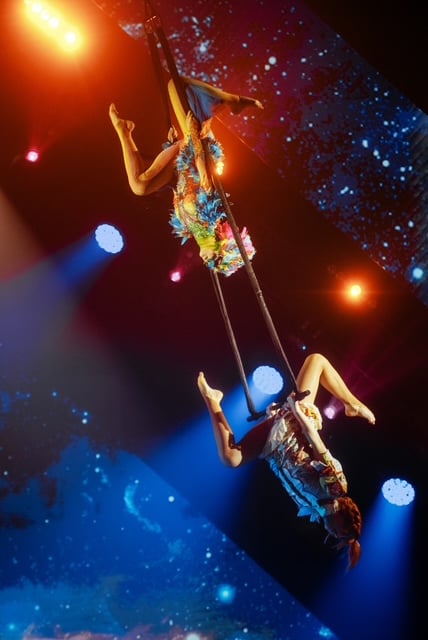 18 квітня — Міжнародний день цирку: інтервʼю з творцями найпопулярніших українських циркових шоу