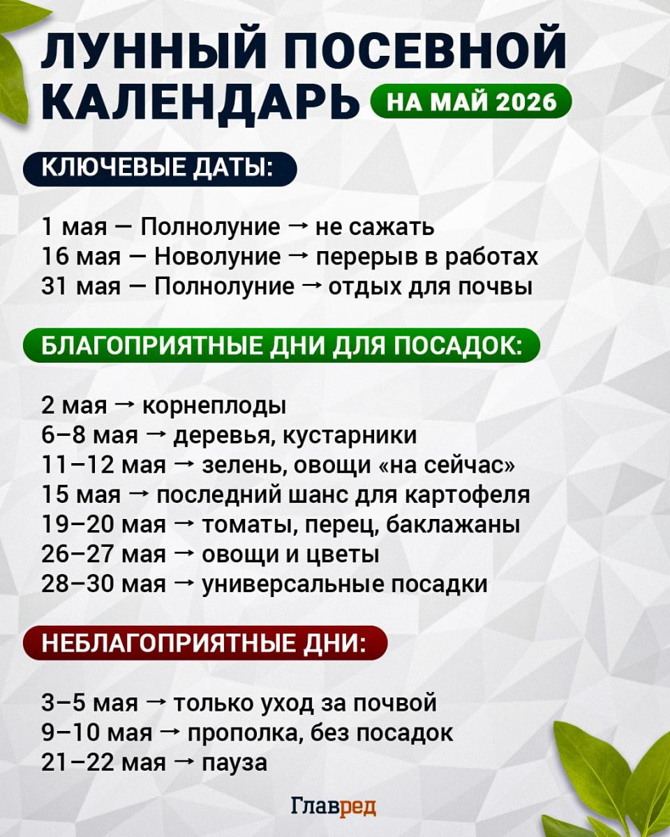 Лунный посевной календарь на май 2026 года
