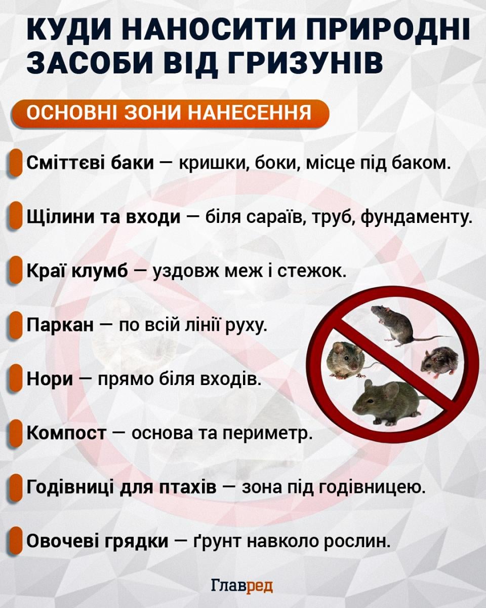 Куди наносити природні засоби від гризунів