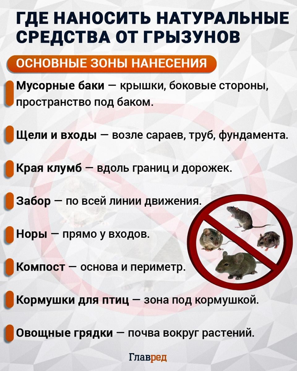 Где наносить натуральные средства от грызунов