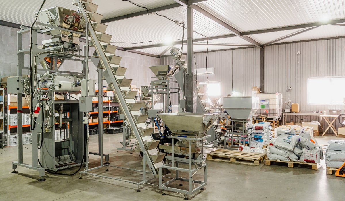 Як захистити собаку та кота від кліщів навесні: методи профілактики та зміцнення імунітету